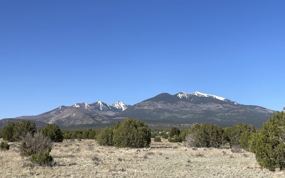 000 Highway 89 – Land/Lot New Listing!
